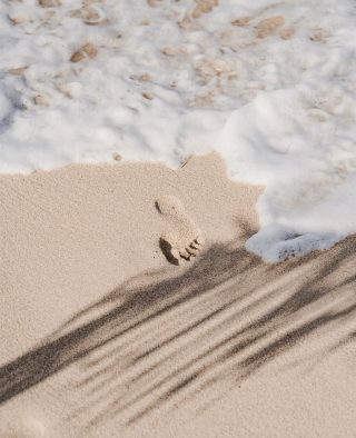Step into the week with a fresh start 👣✨ • Repost 📸: @angelinalzi • • • • #wildside #saintbarth #sbh #paradise #nature #underthesun #summerallyearlong #sea #happy #local #simplicity #love #sand #life #goodvibe #caribbean #fwi #beach #palmtree #travel #paradise #waves