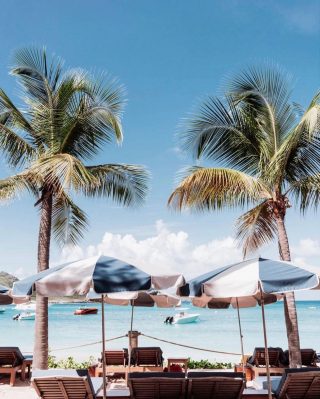 A sunbathing day, between the palm trees and the sound of the waves 💙🌴 • Repost : @gypsea_beach ✨ • • • • #wildside #saintbarth #sbh #paradise #nature #sea #deckchair #relax #perfecttime #beautifulday #plamtrees #tan #goodvibe #caribbean